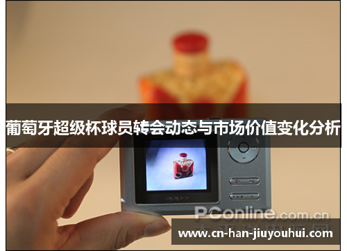 葡萄牙超级杯球员转会动态与市场价值变化分析 葡萄牙超级杯球员转会动态与市场价值变化分析