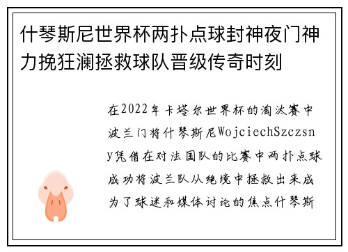 什琴斯尼世界杯两扑点球封神夜门神力挽狂澜拯救球队晋级传奇时刻