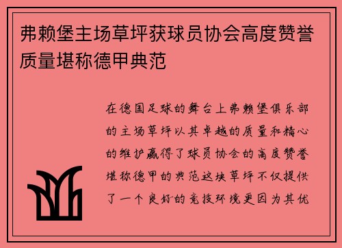 弗赖堡主场草坪获球员协会高度赞誉质量堪称德甲典范
